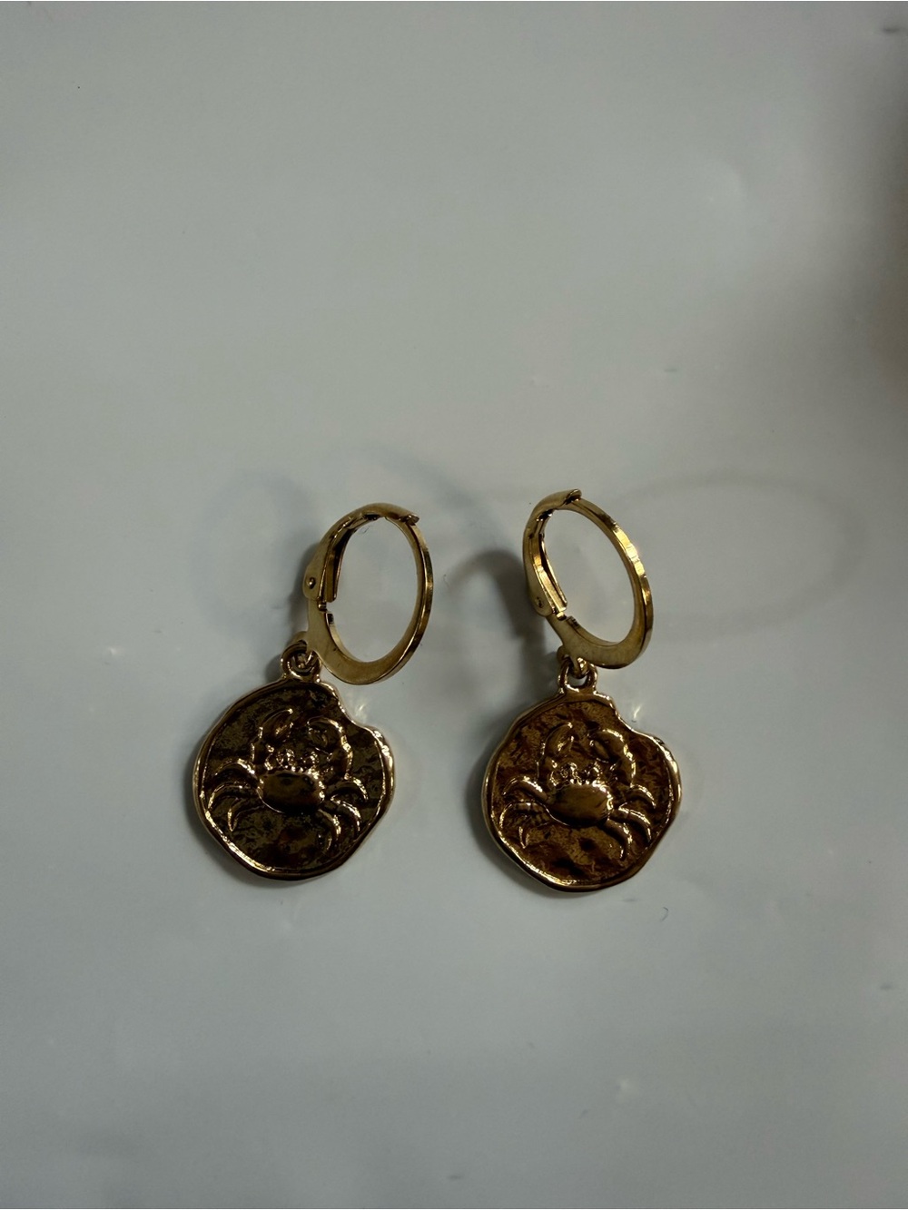 Gold Coin Charm Hoop Earrings - Elegant Textured Medallions